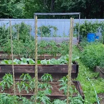 Отзыв для товара: колышки от Людмила А.