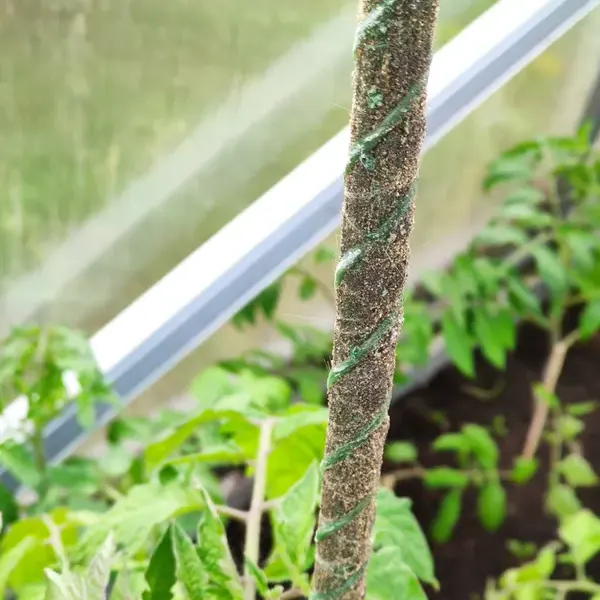 Отзыв для товара: Колышки от Ирина П.