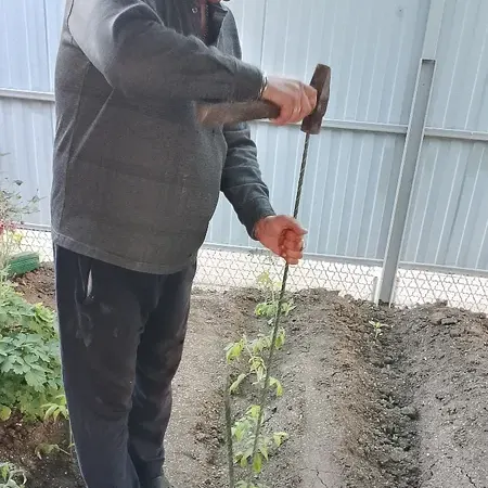 Отзыв для товара: Колышки от Ольга А.