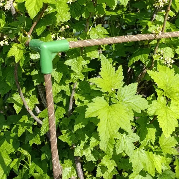 Отзыв для товара: Колышки от Людмила Ж.