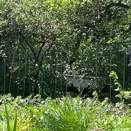 Отзыв для товара: Колышки от Борис