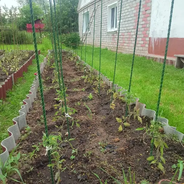 Отзыв для товара: Колышки от Олег Д.