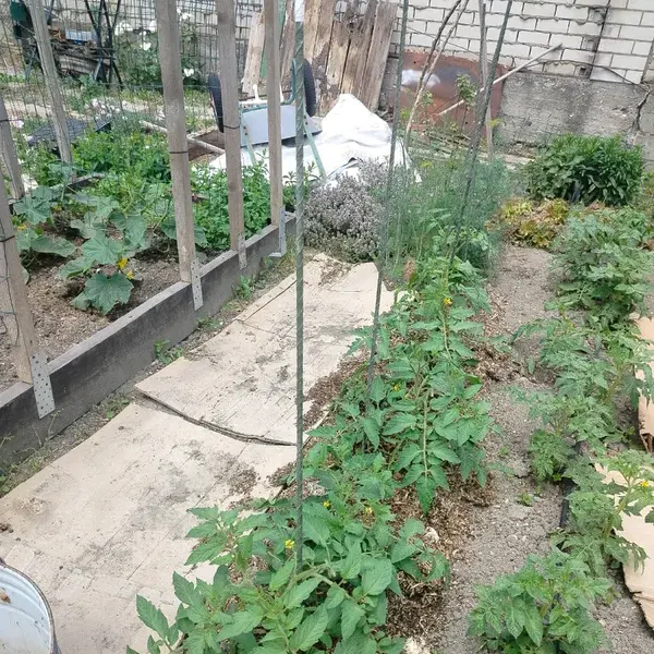 Отзыв для товара: Колышки от Дмитрий К.