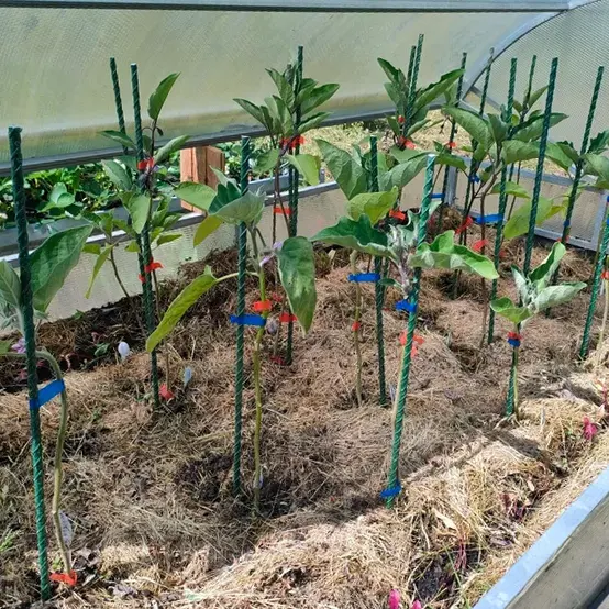 Отзыв для товара: Колышки от Наталья С.