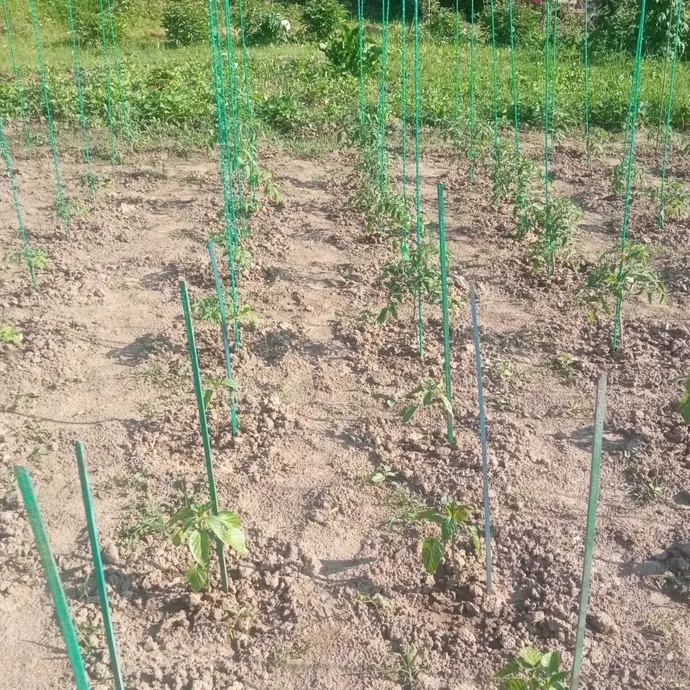 Отзыв для товара: Колышки от Сергей С.