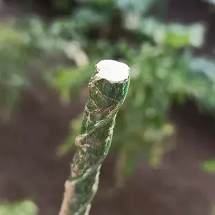 Отзыв для товара: Колышки от Наталья Ш.