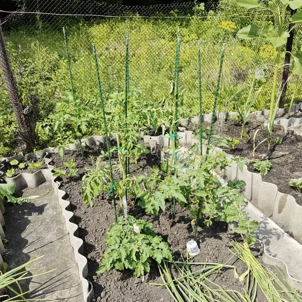 Отзыв для товара: Колышки от Андрей Е.