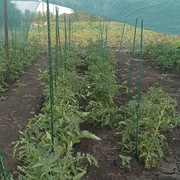 Отзыв для товара: Колышки от Павел М.