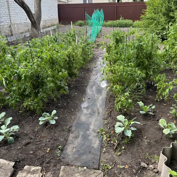 Отзыв для товара: Колышки от Ирина Ф.